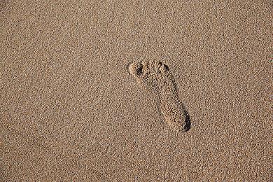 滑板游戏《奥力奥力世界》Steam开启预购 国区99元